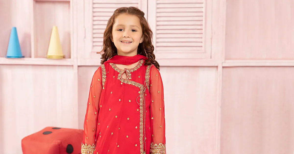 3 Piece Embroidered Net Suit | MKS-PF24-08