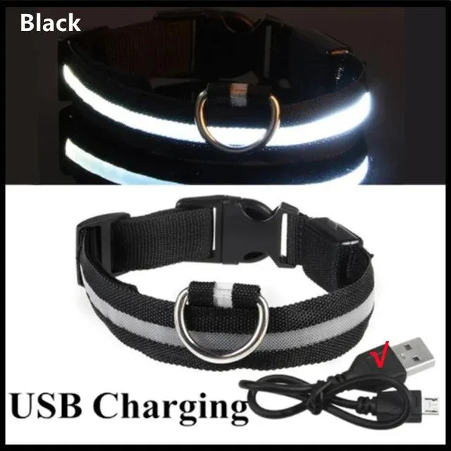 Adjustable LED Glowing Dog Collar