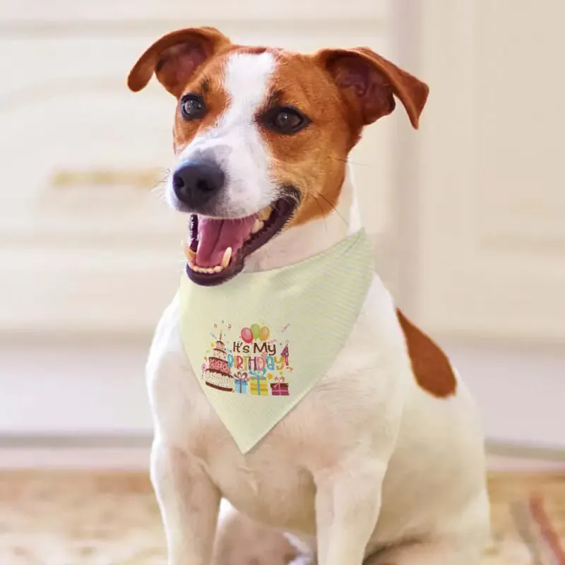 Birthday Pet Scarf for Dogs and Cats to Celebrate Your Furry Friend