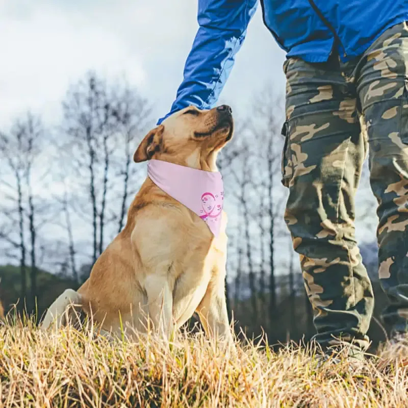 Breast Cancer Awareness Pet Bandana