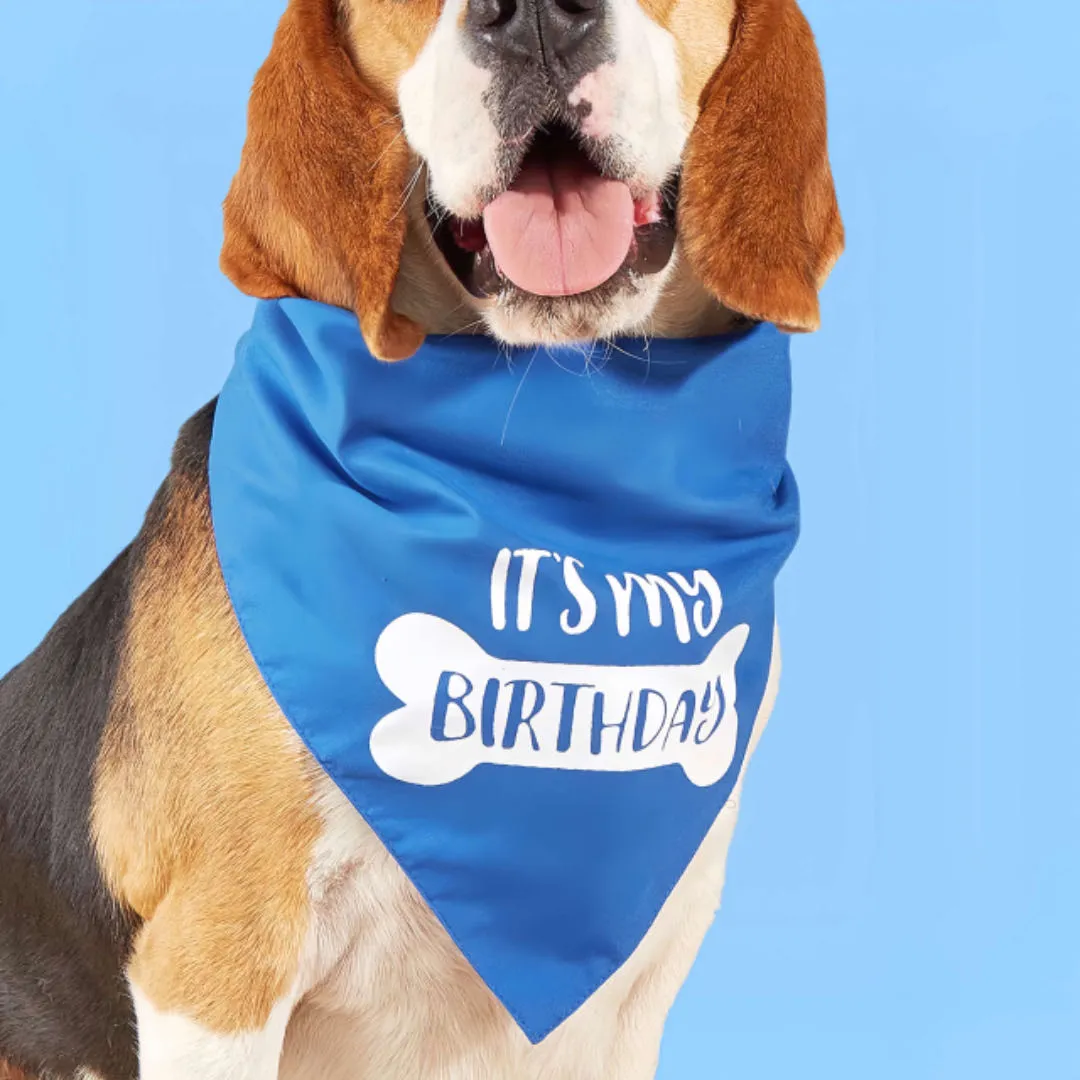 Dog Birthday Bandana Triangle Pet Bibs