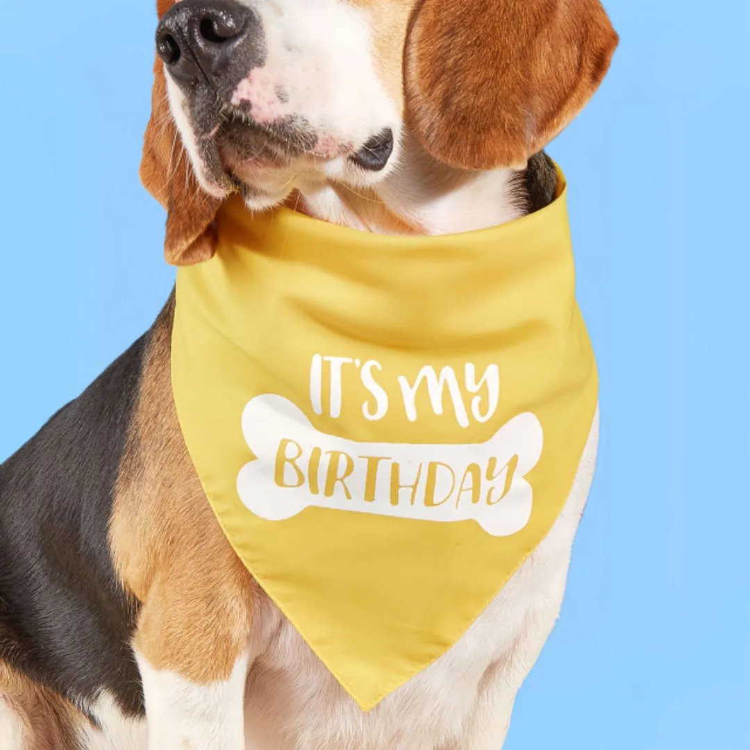 Dog Birthday Bandana Triangle Pet Bibs