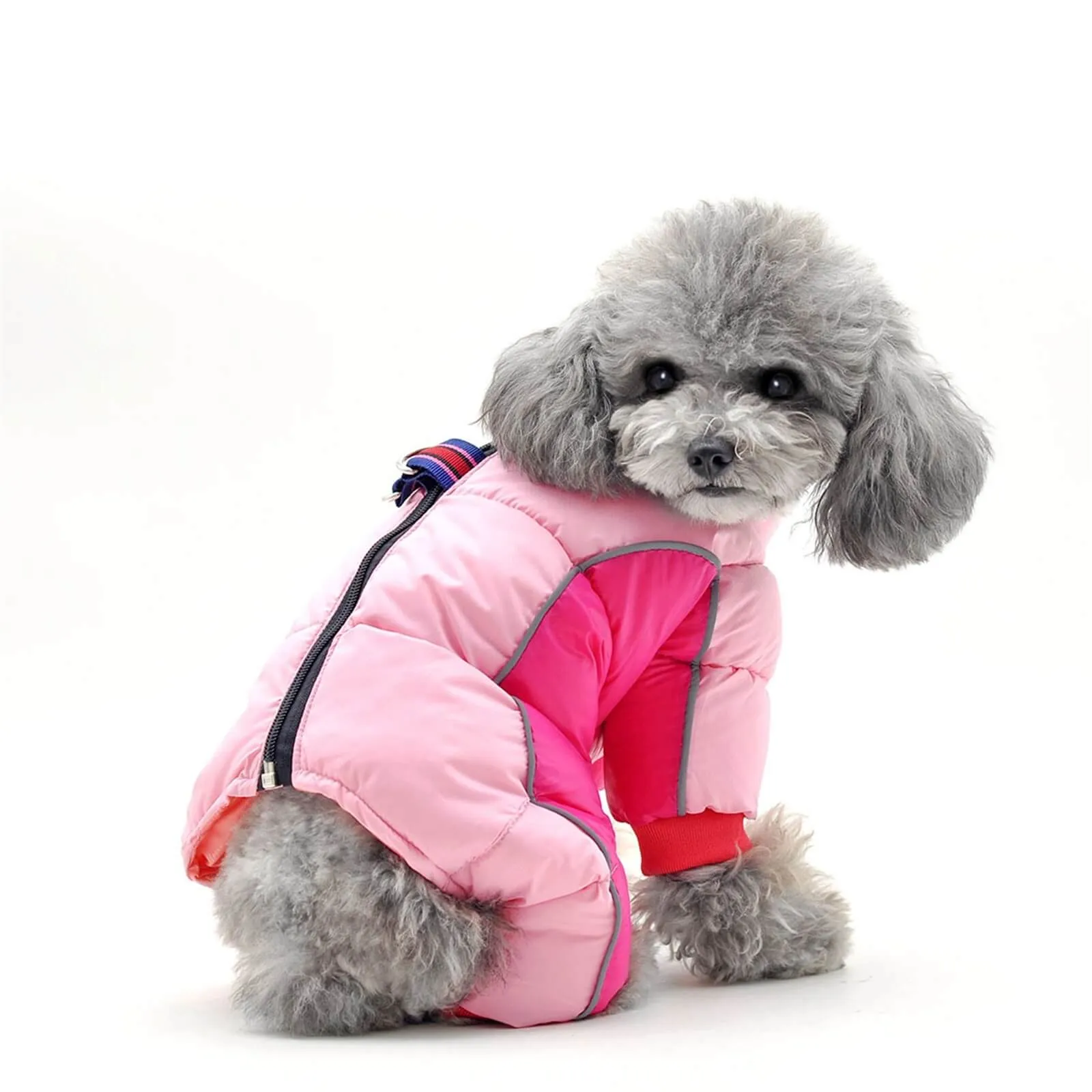 Dog Winter Coat - Full-length Dog Snowsuit, Warm Dog Jacket For Winter