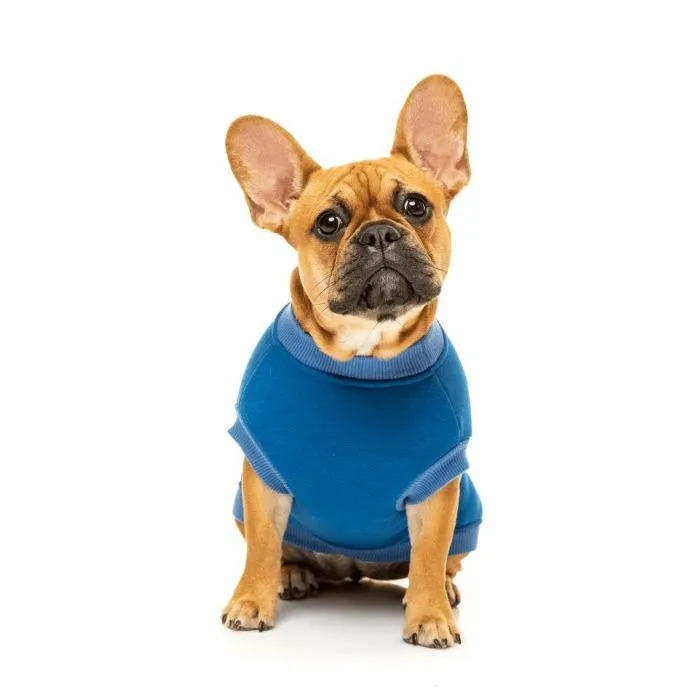 FuzzYard | College Sweater - Dog Jumper Blue