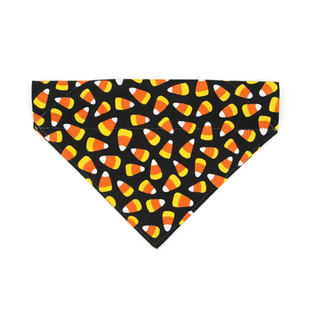 Halloween Pet Bandana - "Trick or Treat" - Candy Corn Bandana for Cat Collar or Small Dog Collar / Slide-on Bandana / Over-the-Collar (One Size)