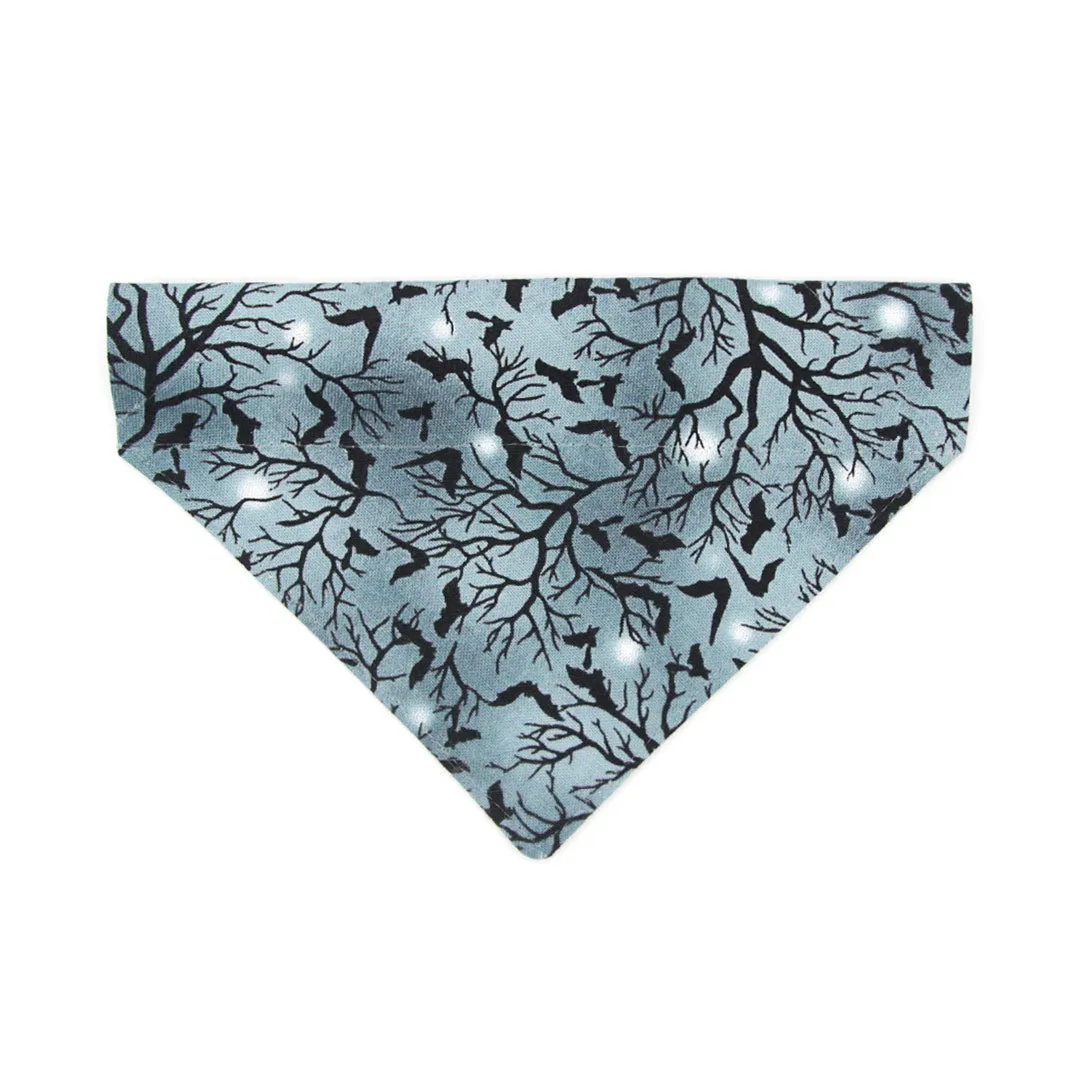 Halloween Pet Bandana - "Witching Hour" - Bats on Midnight Gray Bandana for Cat   Small Dog / Slide-on Bandana / Over-the-Collar (One Size)