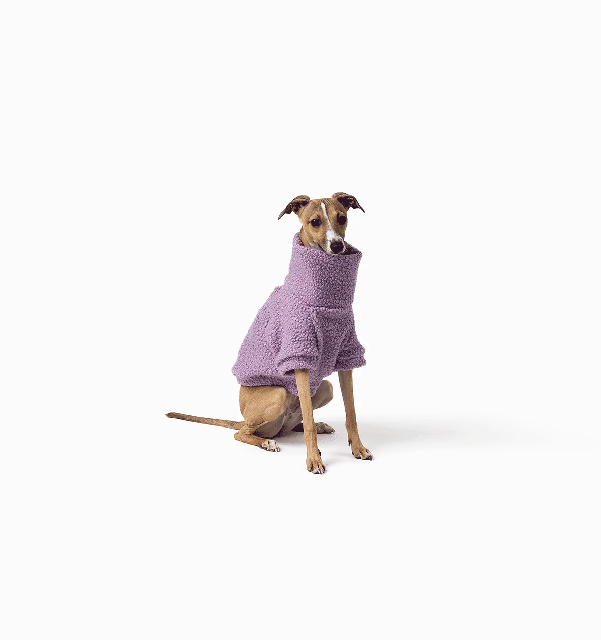 Lilac Teddy Jumper