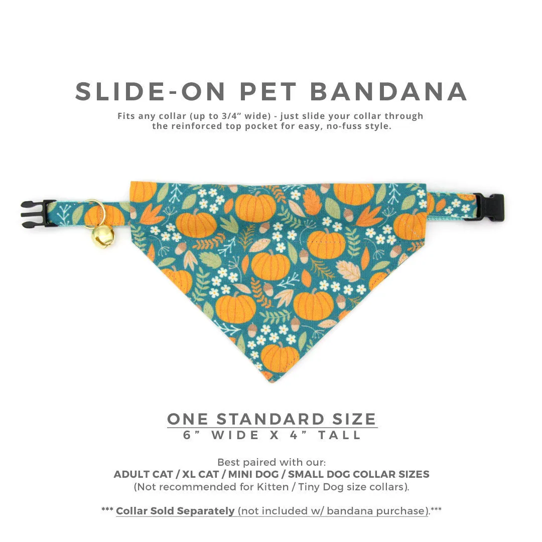 Pet Bandana - "Pumpkin Patch - Teal" - Fall Harvest Bandana for Cat Collar or Small Dog Collar / Slide-on Bandana / Over-the-Collar (One Size)