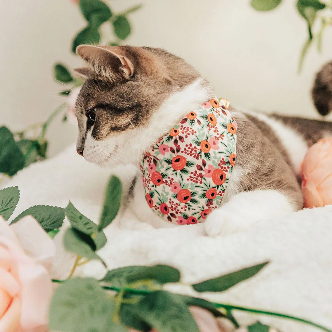 Rifle Paper Co® Pet Bandana - "Juliet" - Blush Floral Bandana for Cat   Small Dog / Slide-on Bandana / Over-the-Collar (One Size)