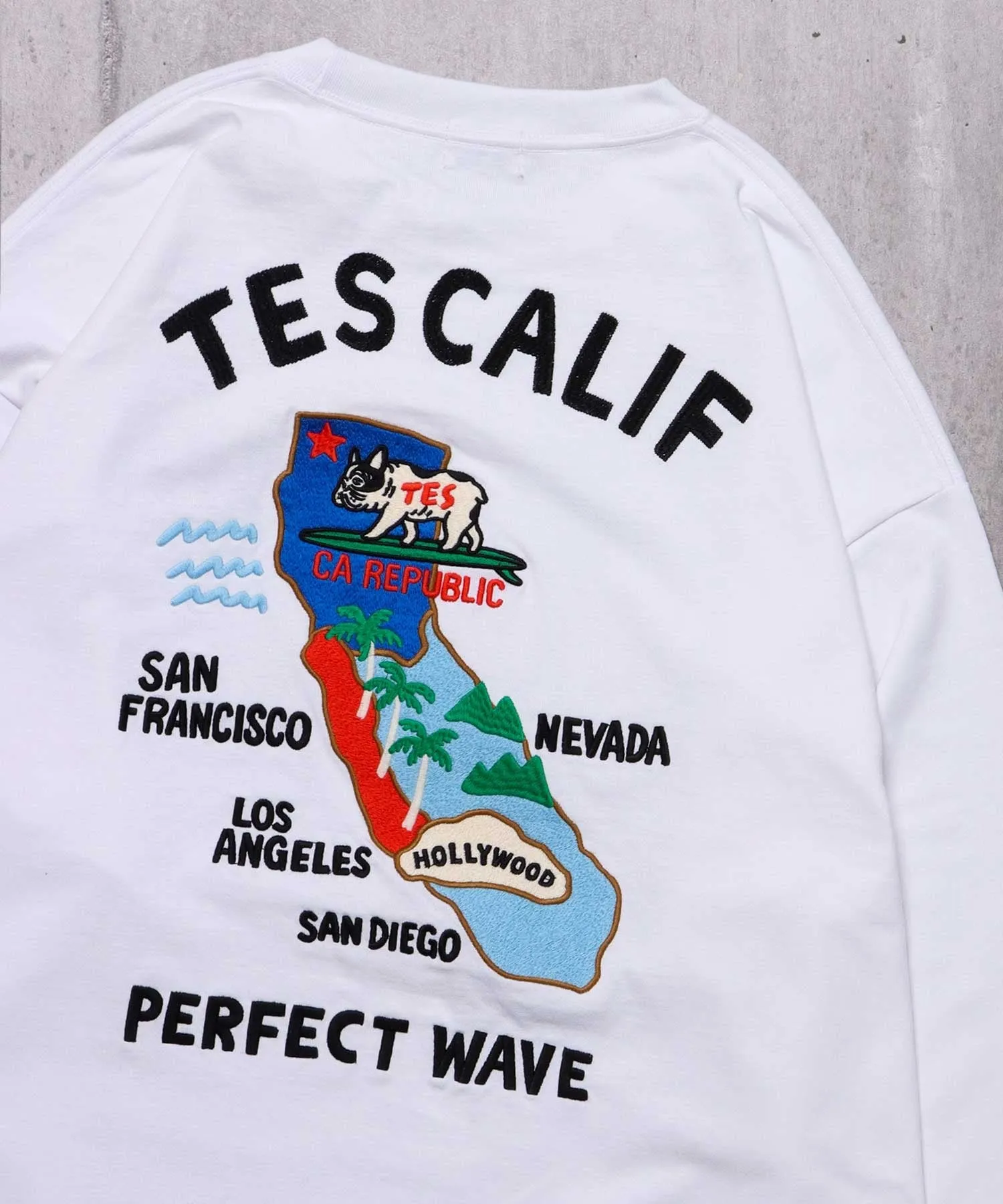 TES CALIFORNIA EMB LONG SLEEVE BIG T-SHIRT / ロンT