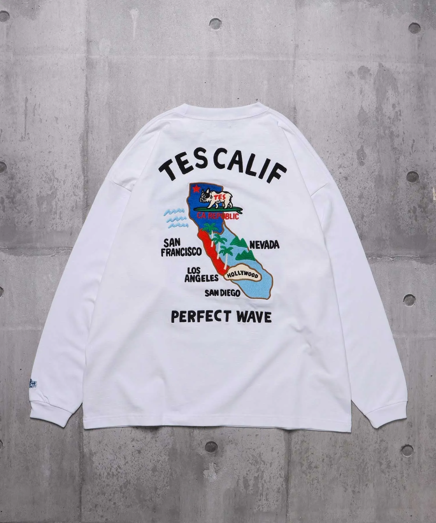 TES CALIFORNIA EMB LONG SLEEVE BIG T-SHIRT / ロンT