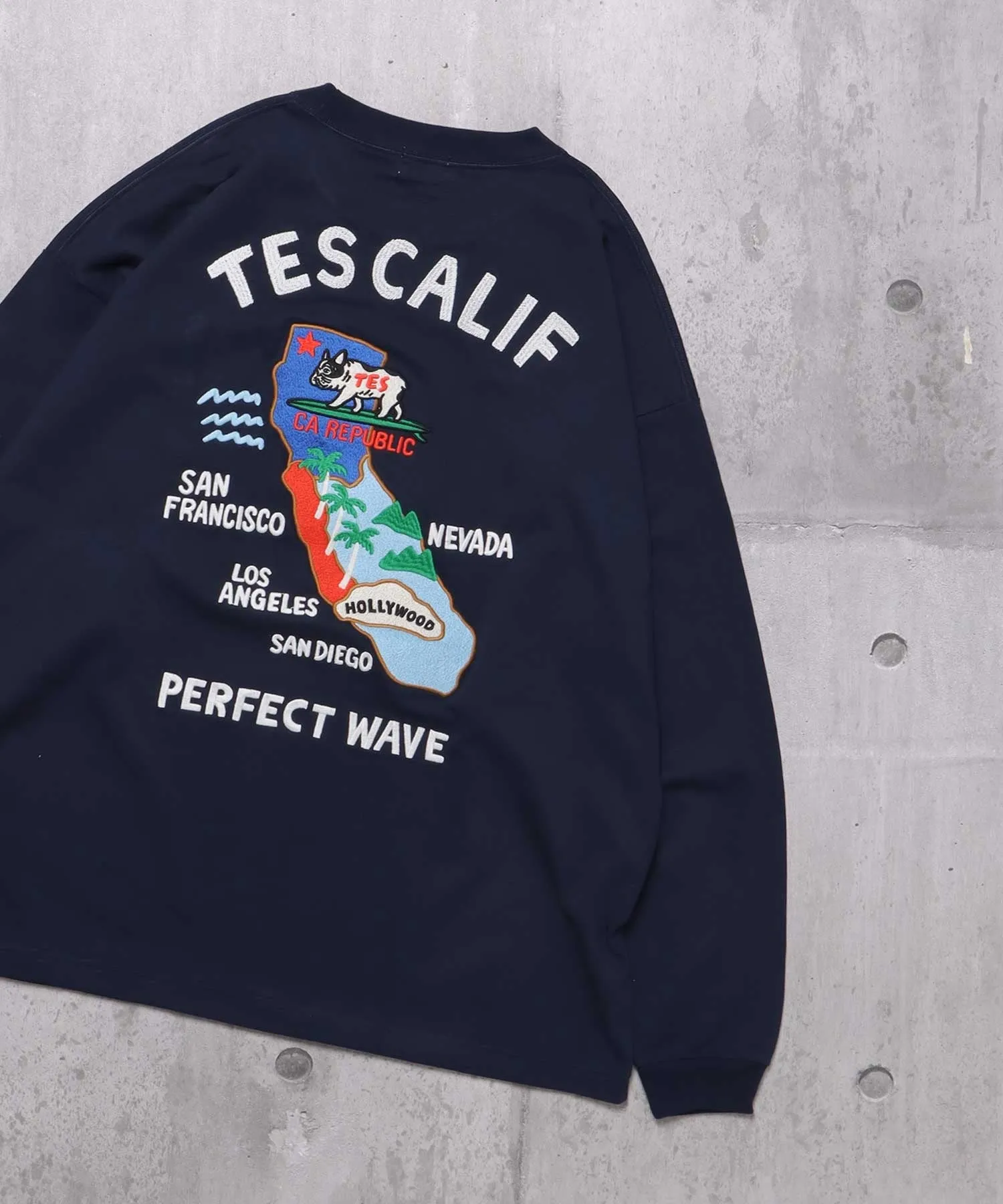 TES CALIFORNIA EMB LONG SLEEVE BIG T-SHIRT / ロンT