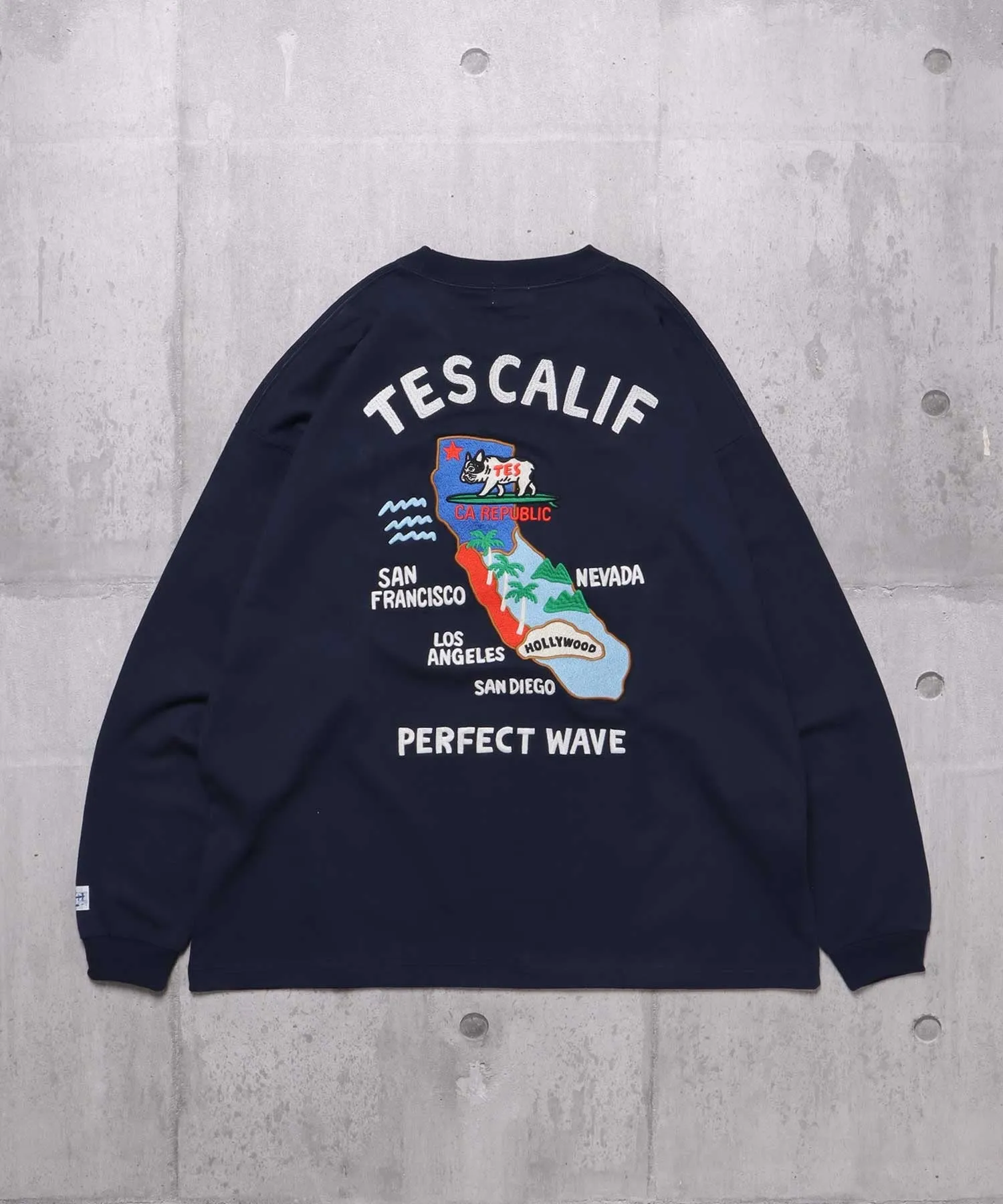 TES CALIFORNIA EMB LONG SLEEVE BIG T-SHIRT / ロンT