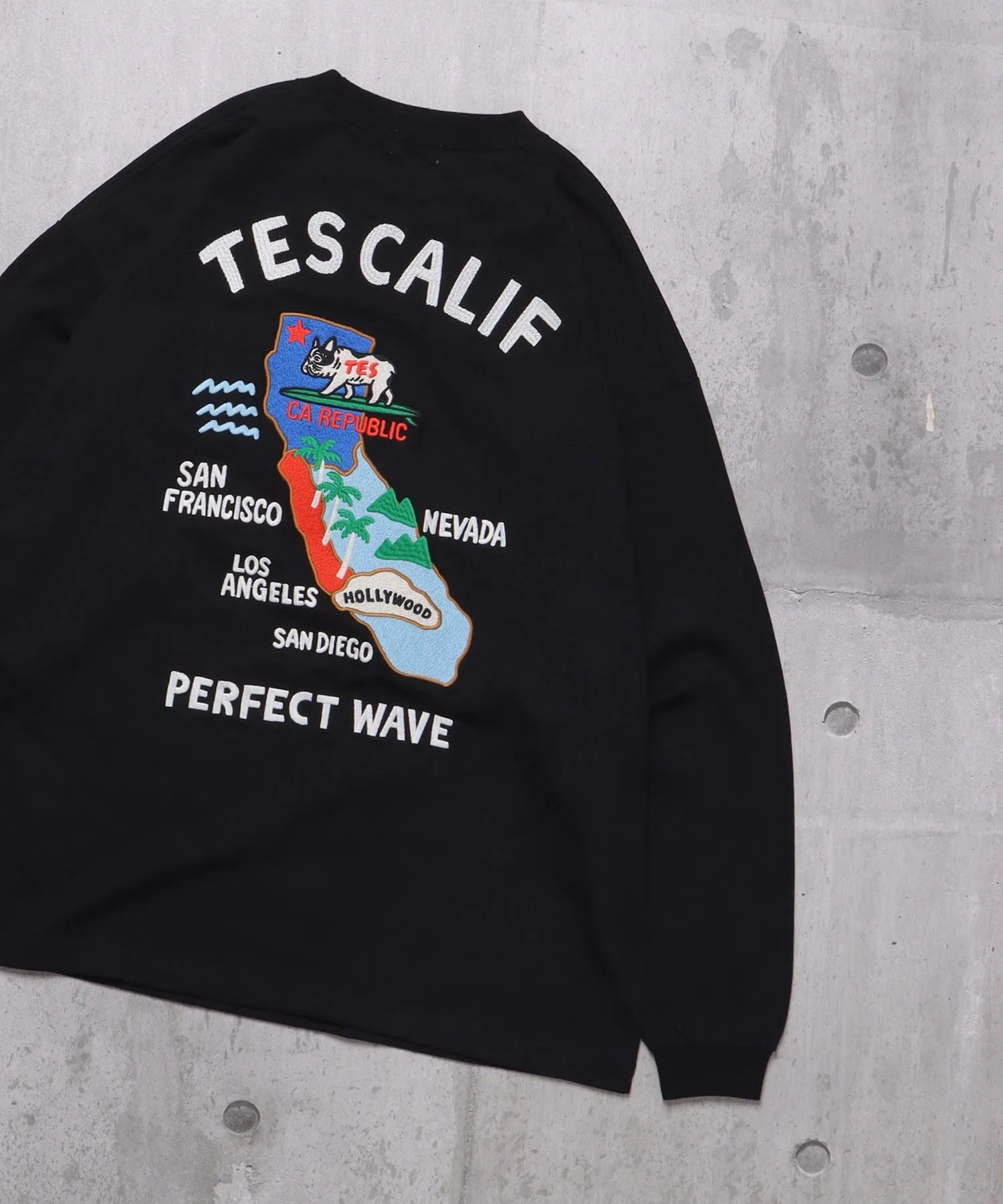 TES CALIFORNIA EMB LONG SLEEVE BIG T-SHIRT / ロンT