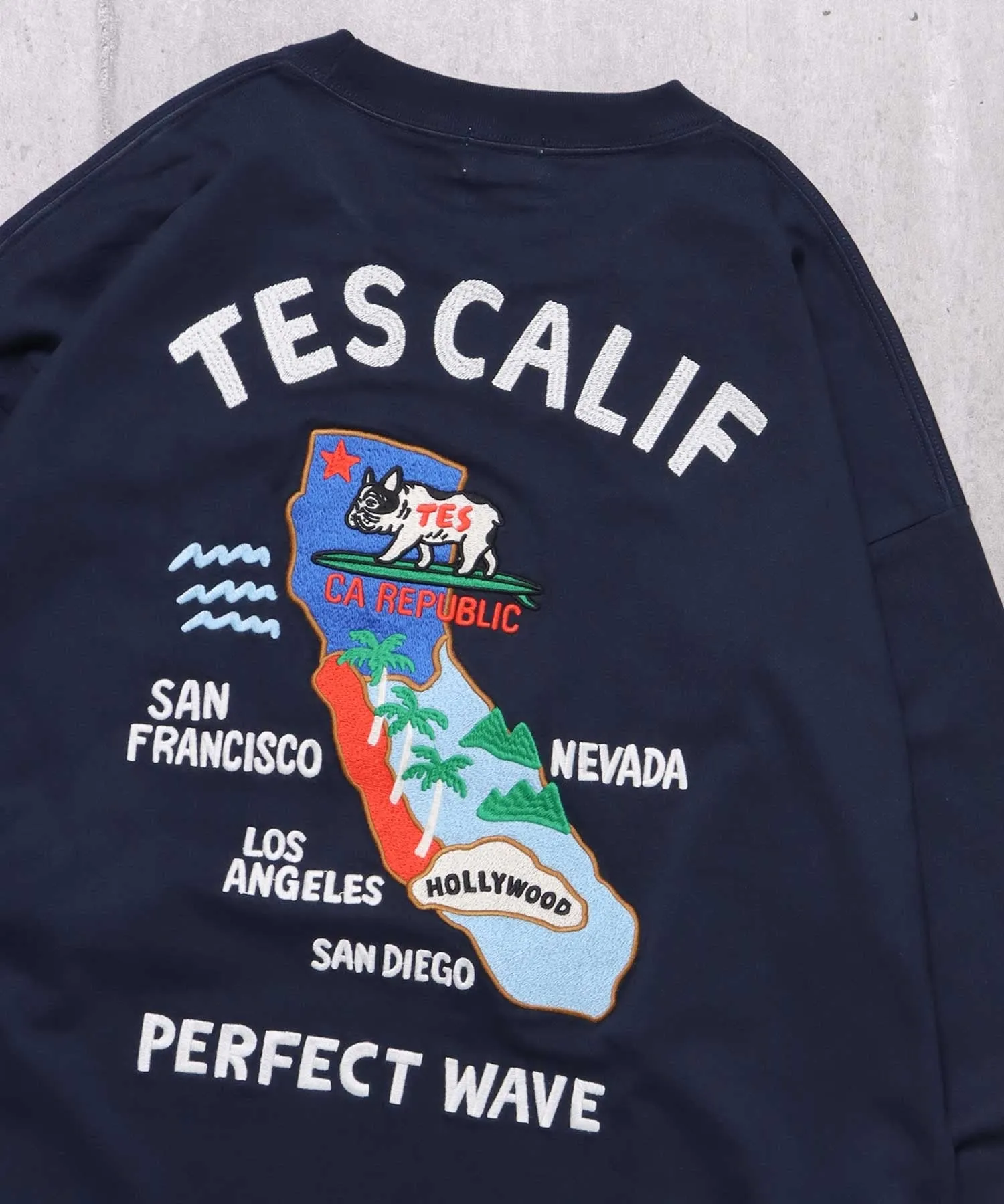 TES CALIFORNIA EMB LONG SLEEVE BIG T-SHIRT / ロンT