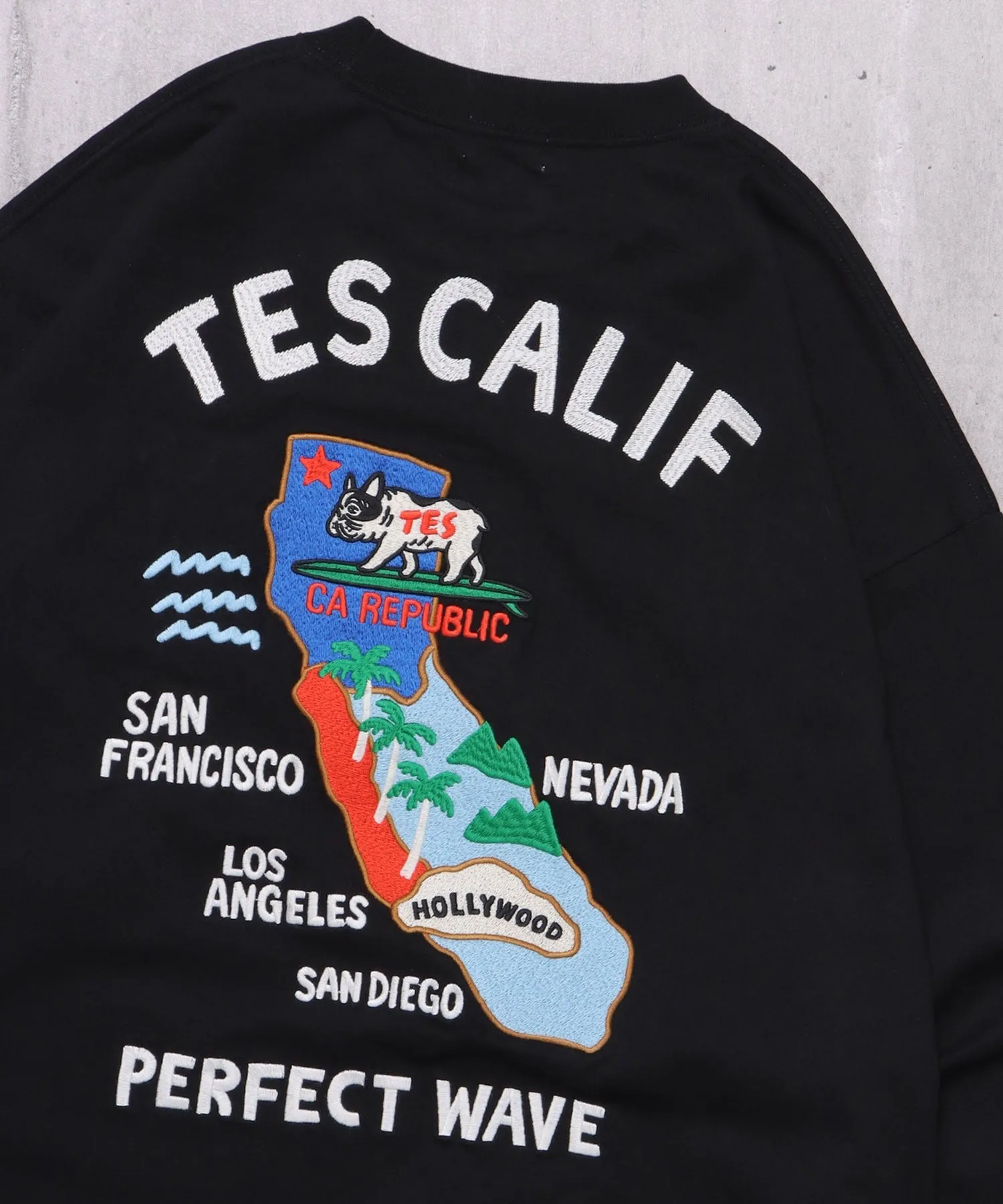 TES CALIFORNIA EMB LONG SLEEVE BIG T-SHIRT / ロンT